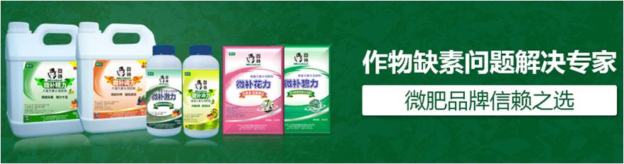 #微肥課堂#為什么葉面肥養(yǎng)分含量相同，效果卻不同？