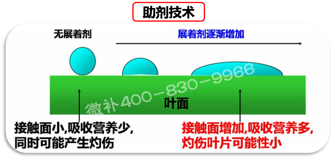 余教授德國(guó)鄉(xiāng)村行：我在德國(guó)為什么不會(huì)點(diǎn)啤酒了？