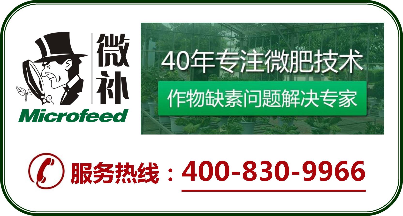 余教授德國(guó)鄉(xiāng)村行：摩澤爾河的葡萄魅力在哪兒？