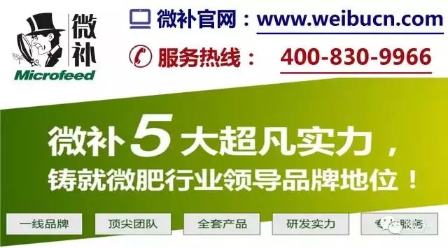余教授奧地利鄉(xiāng)村行：萬科為什么說把奧地利小鎮(zhèn)搬回來？