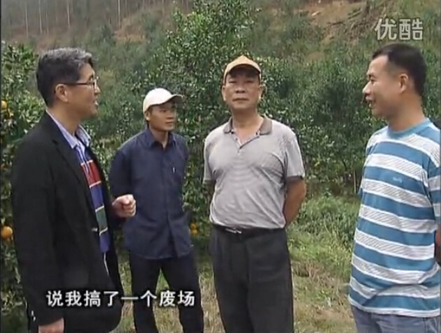 20160118珠江臺(tái)搖錢樹(shù)：貢柑用微補(bǔ)全年?duì)I養(yǎng)方案，黃樹(shù)翻身還高產(chǎn)增果