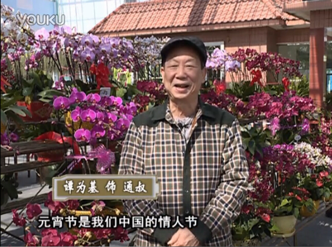 20160222珠江臺(tái)搖錢樹：用綠夫人營養(yǎng)液，簡單種花都能養(yǎng)得靚