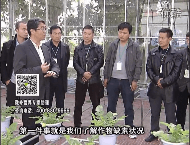 20160418珠江臺(tái)搖錢樹：和重慶種植業(yè)主走進(jìn)微補(bǔ)，探秘微補(bǔ)生產(chǎn)研發(fā)技術(shù)