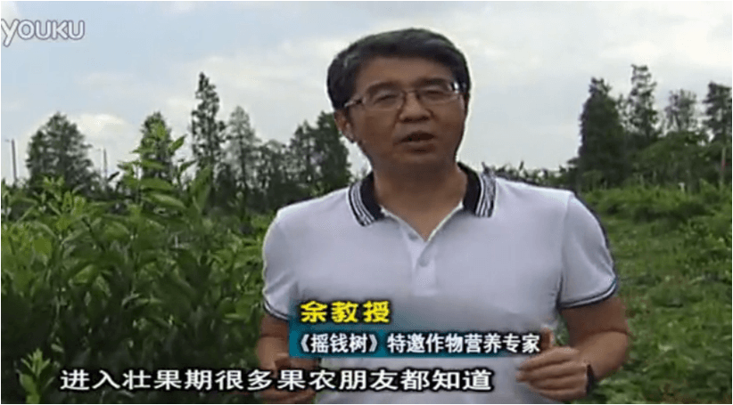 20160620珠江臺(tái)搖錢樹：柑橘淋微補(bǔ)調(diào)力、噴蓋力+壯力，調(diào)酸壯長(zhǎng)勢(shì)、膨果防裂好