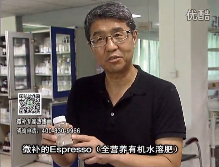 20160822珠江臺(tái)搖錢樹：柑橘秋梢淋沖因迪樂精華粉，補(bǔ)充有機(jī)營(yíng)養(yǎng)，健壯果樹