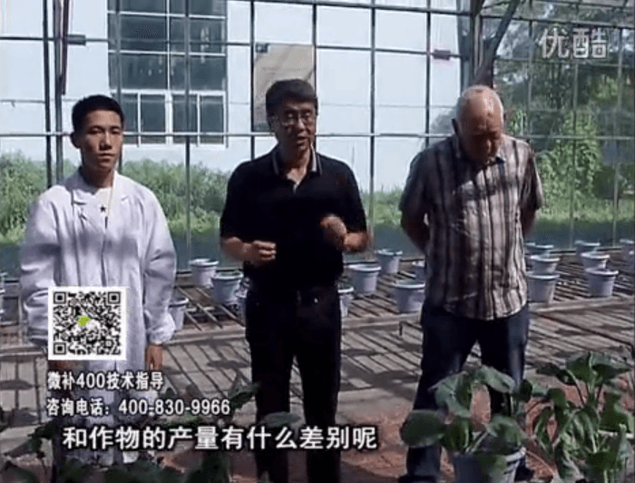 20160829珠江臺(tái)搖錢樹：微補(bǔ)溫室實(shí)驗(yàn)：大量元素水溶肥pk添加中微量元素的差距！