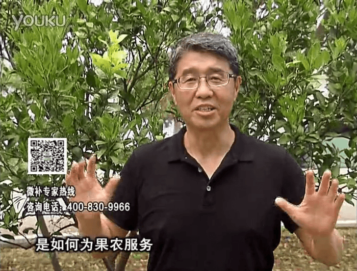 20160912珠江臺(tái)搖錢樹：針對(duì)果場面積、缺素營養(yǎng)、設(shè)施管理、投入產(chǎn)出，微補(bǔ)做個(gè)性化定制服務(wù)