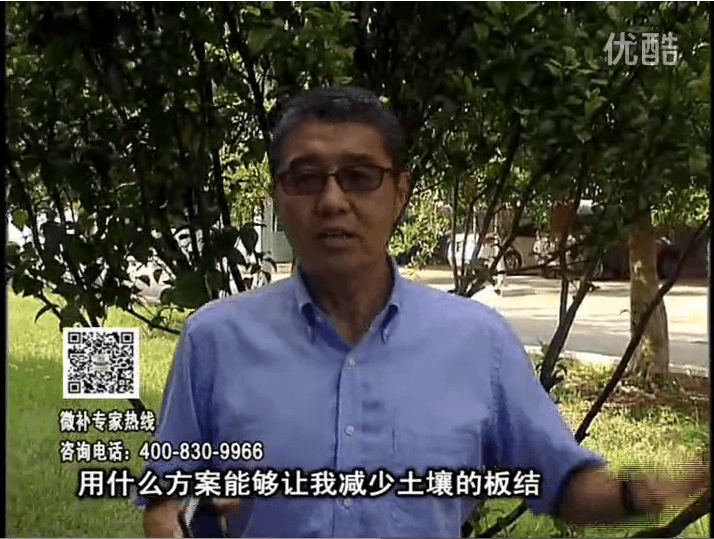 20161031珠江臺(tái)搖錢樹：減少化肥使用量、土壤少板結(jié)有辦法