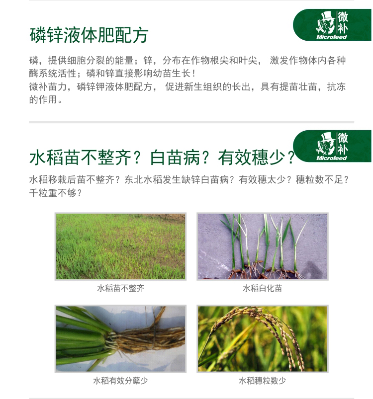 微補(bǔ)苗力