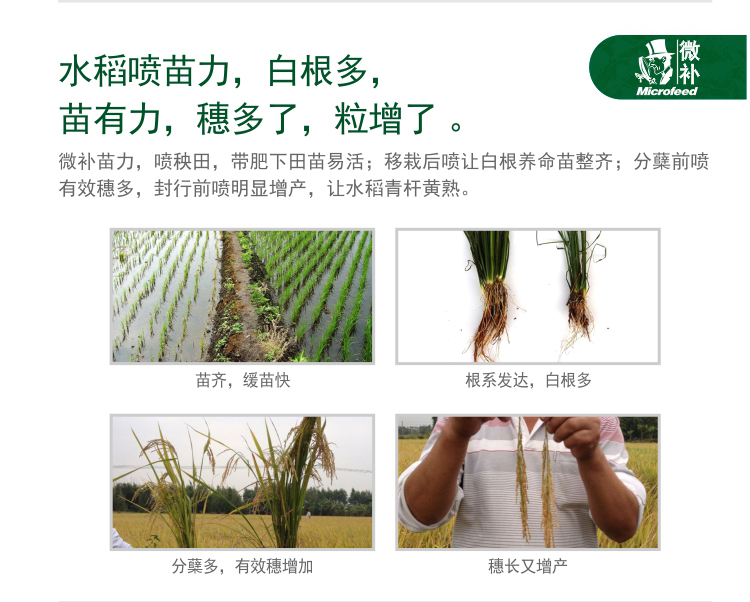微補(bǔ)苗力