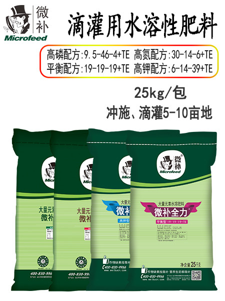 微補全力
