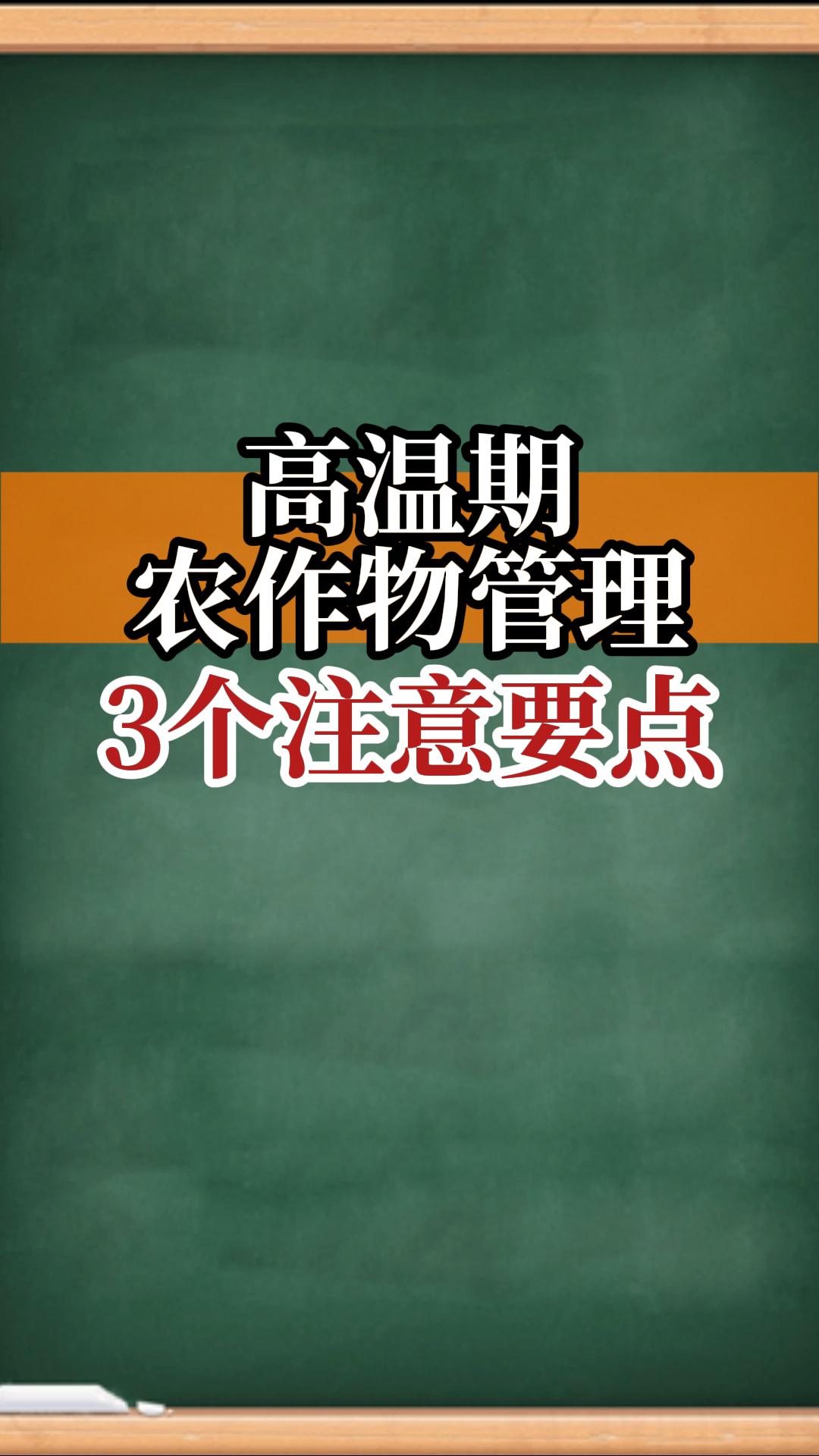 高溫期農(nóng)作物管理注意要點(diǎn)