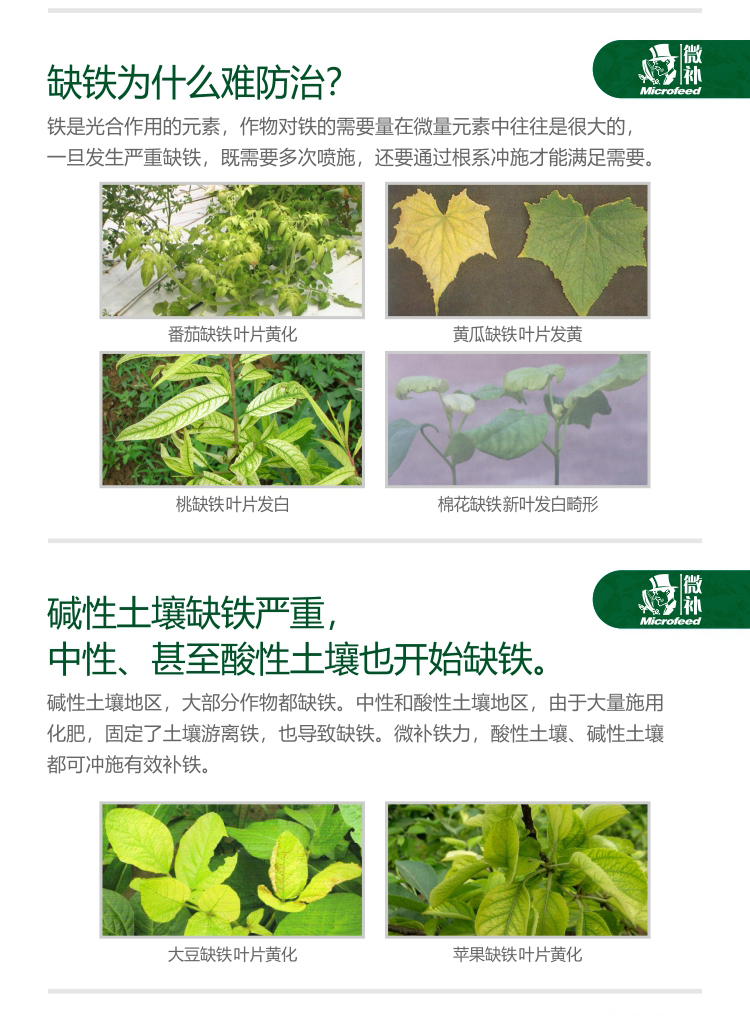 微補鐵力