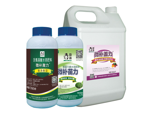 讓作物安全過冬的實用小妙招，速看